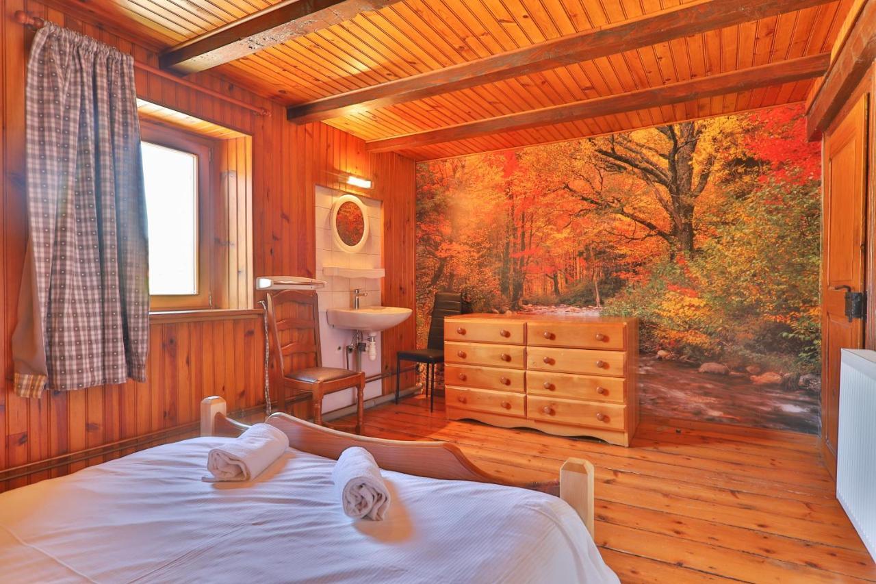 Spacieux et confortables gîtes à proximité randonnées, lacs, ski nature Sondernach Extérieur photo