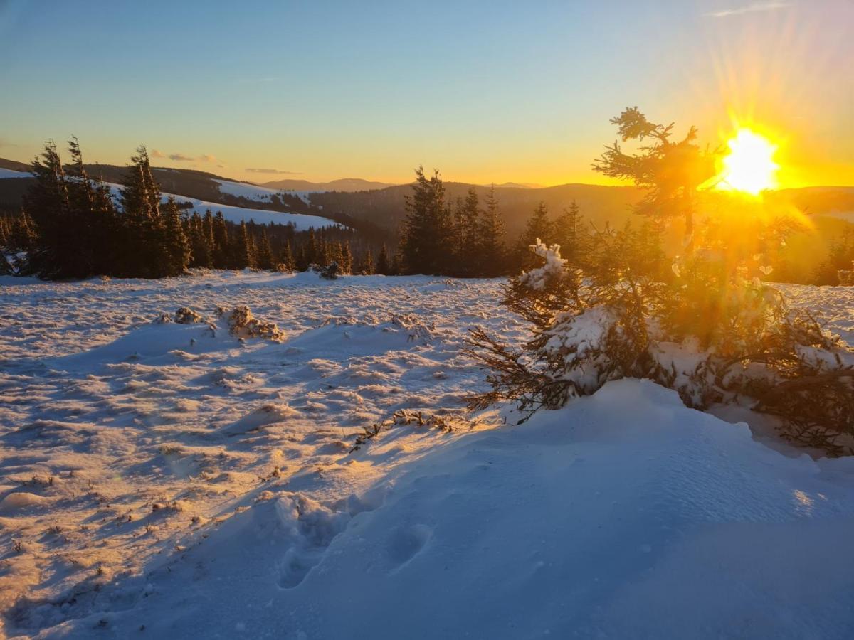 Spacieux et confortables gîtes à proximité randonnées, lacs, ski nature Sondernach Extérieur photo
