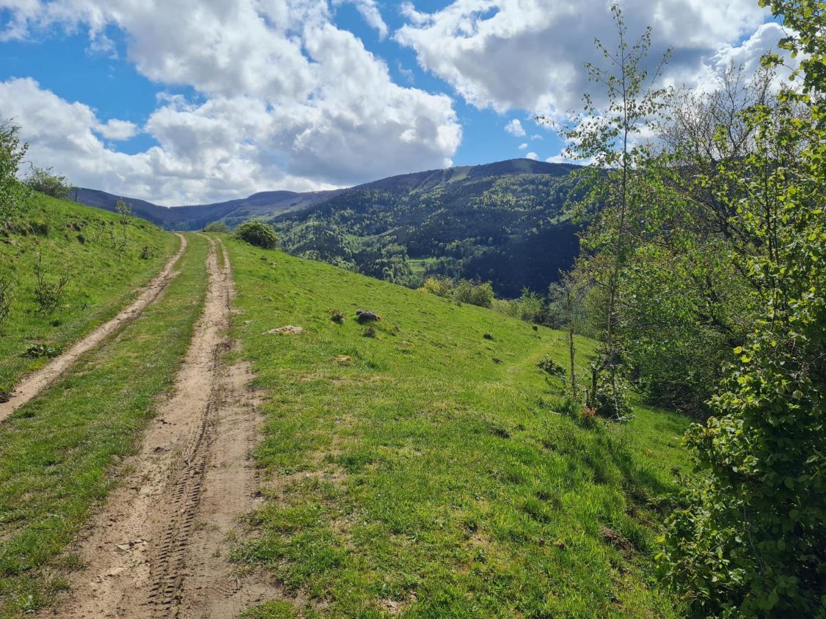Spacieux et confortables gîtes à proximité randonnées, lacs, ski nature Sondernach Extérieur photo