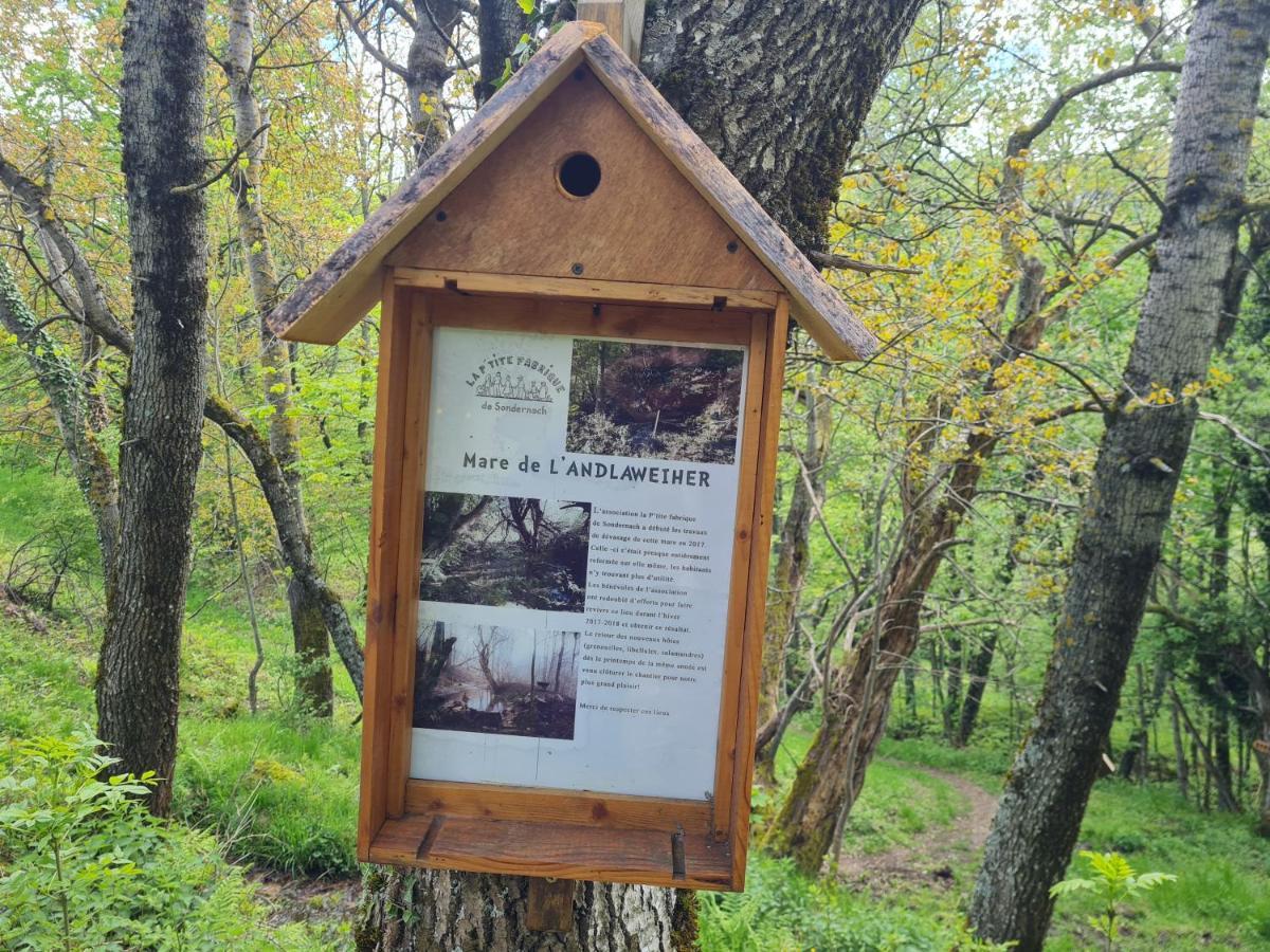 Spacieux et confortables gîtes à proximité randonnées, lacs, ski nature Sondernach Extérieur photo