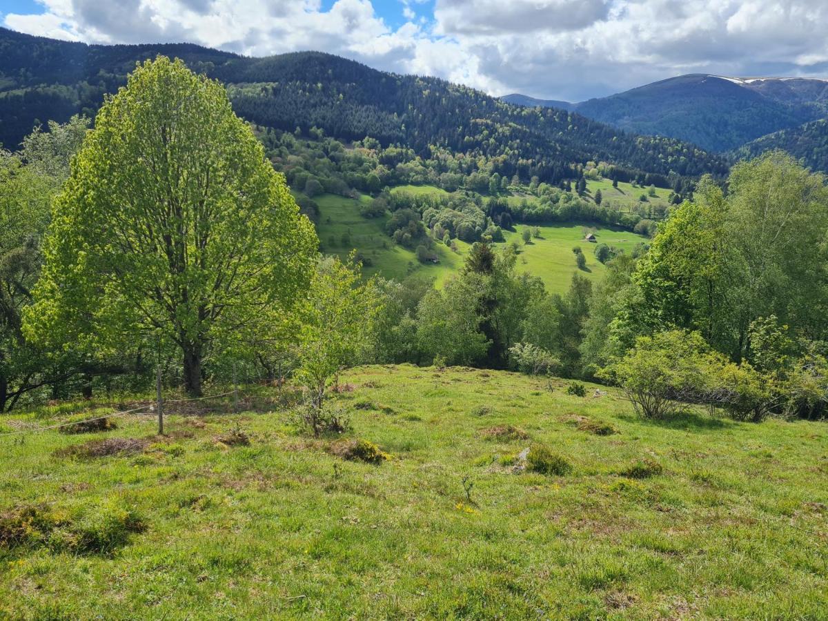 Spacieux et confortables gîtes à proximité randonnées, lacs, ski nature Sondernach Extérieur photo