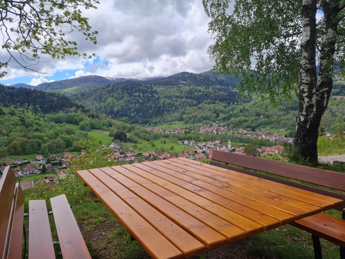 Spacieux et confortables gîtes à proximité randonnées, lacs, ski nature Sondernach Extérieur photo