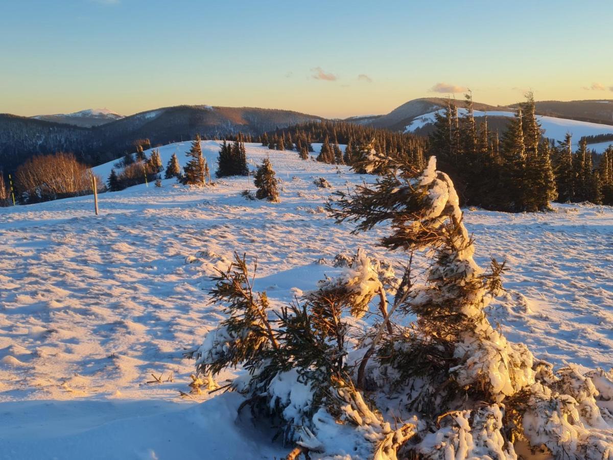 Spacieux et confortables gîtes à proximité randonnées, lacs, ski nature Sondernach Extérieur photo