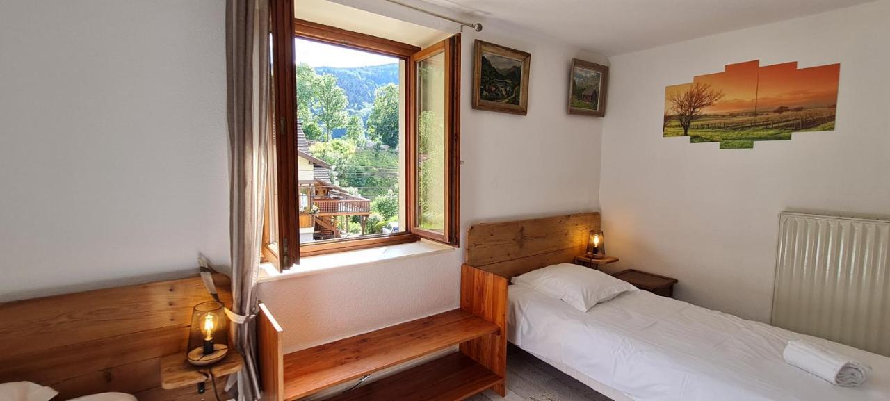 Spacieux et confortables gîtes à proximité randonnées, lacs, ski nature Sondernach Extérieur photo
