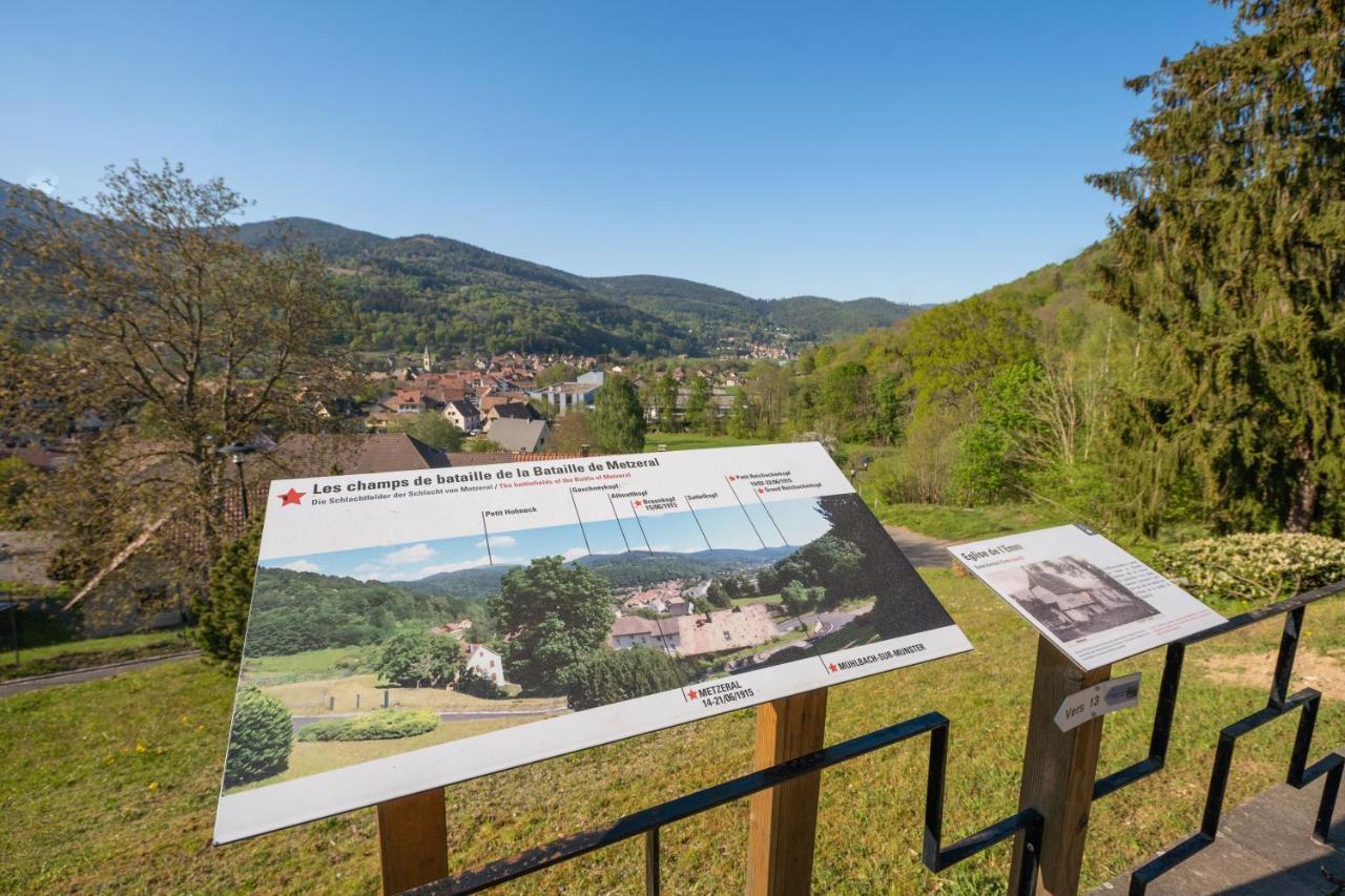 Spacieux et confortables gîtes à proximité randonnées, lacs, ski nature Sondernach Extérieur photo