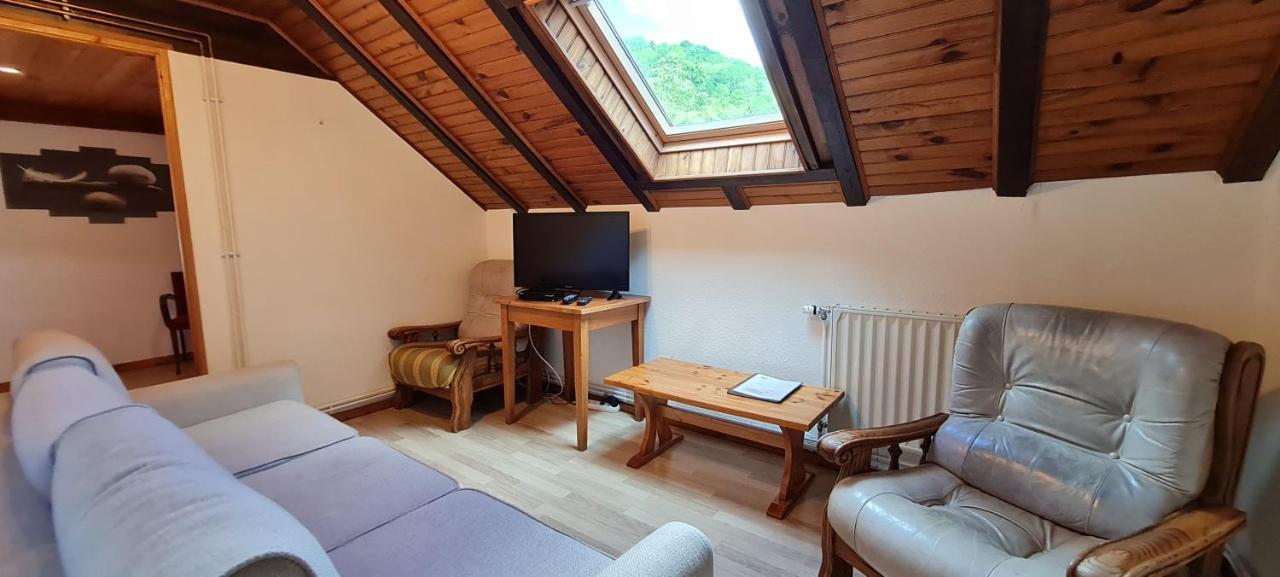 Spacieux et confortables gîtes à proximité randonnées, lacs, ski nature Sondernach Extérieur photo