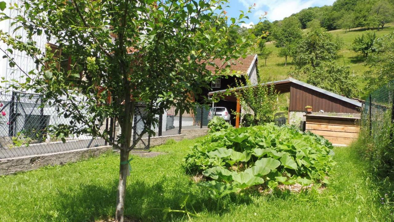 Spacieux et confortables gîtes à proximité randonnées, lacs, ski nature Sondernach Extérieur photo
