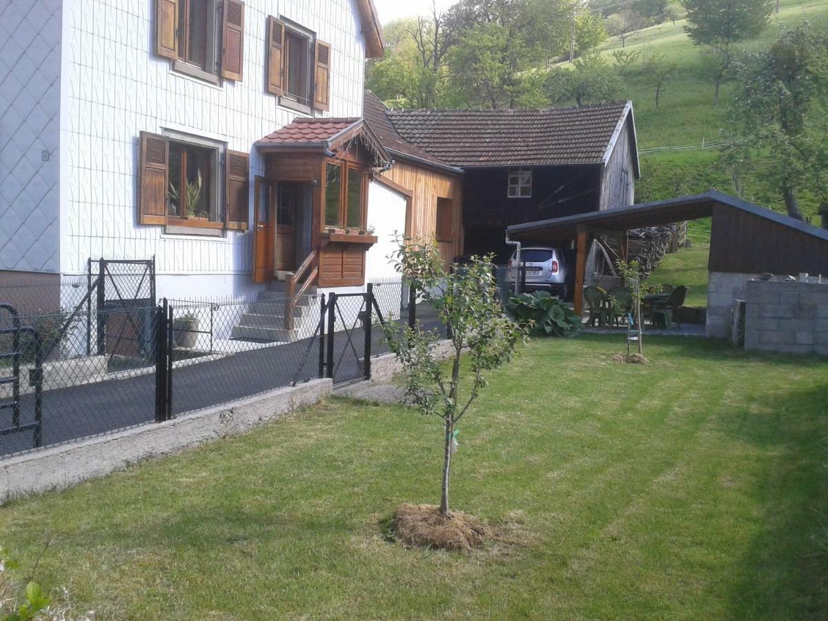 Spacieux et confortables gîtes à proximité randonnées, lacs, ski nature Sondernach Extérieur photo