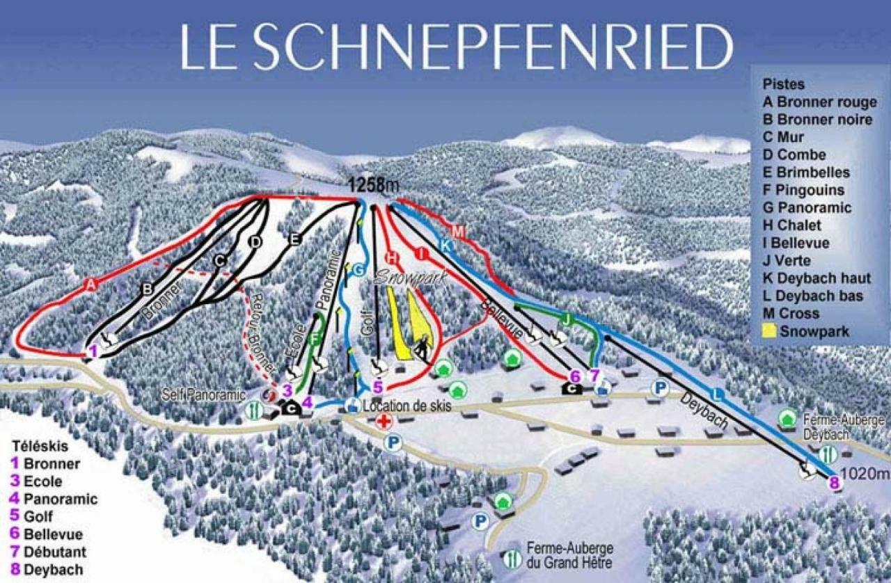 Spacieux et confortables gîtes à proximité randonnées, lacs, ski nature Sondernach Extérieur photo