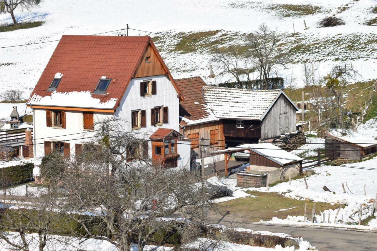 Spacieux et confortables gîtes à proximité randonnées, lacs, ski nature Sondernach Extérieur photo