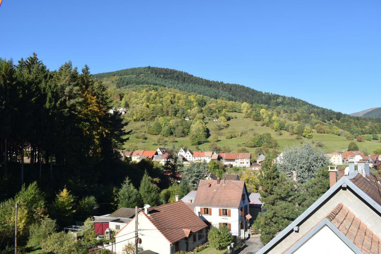 Spacieux et confortables gîtes à proximité randonnées, lacs, ski nature Sondernach Extérieur photo