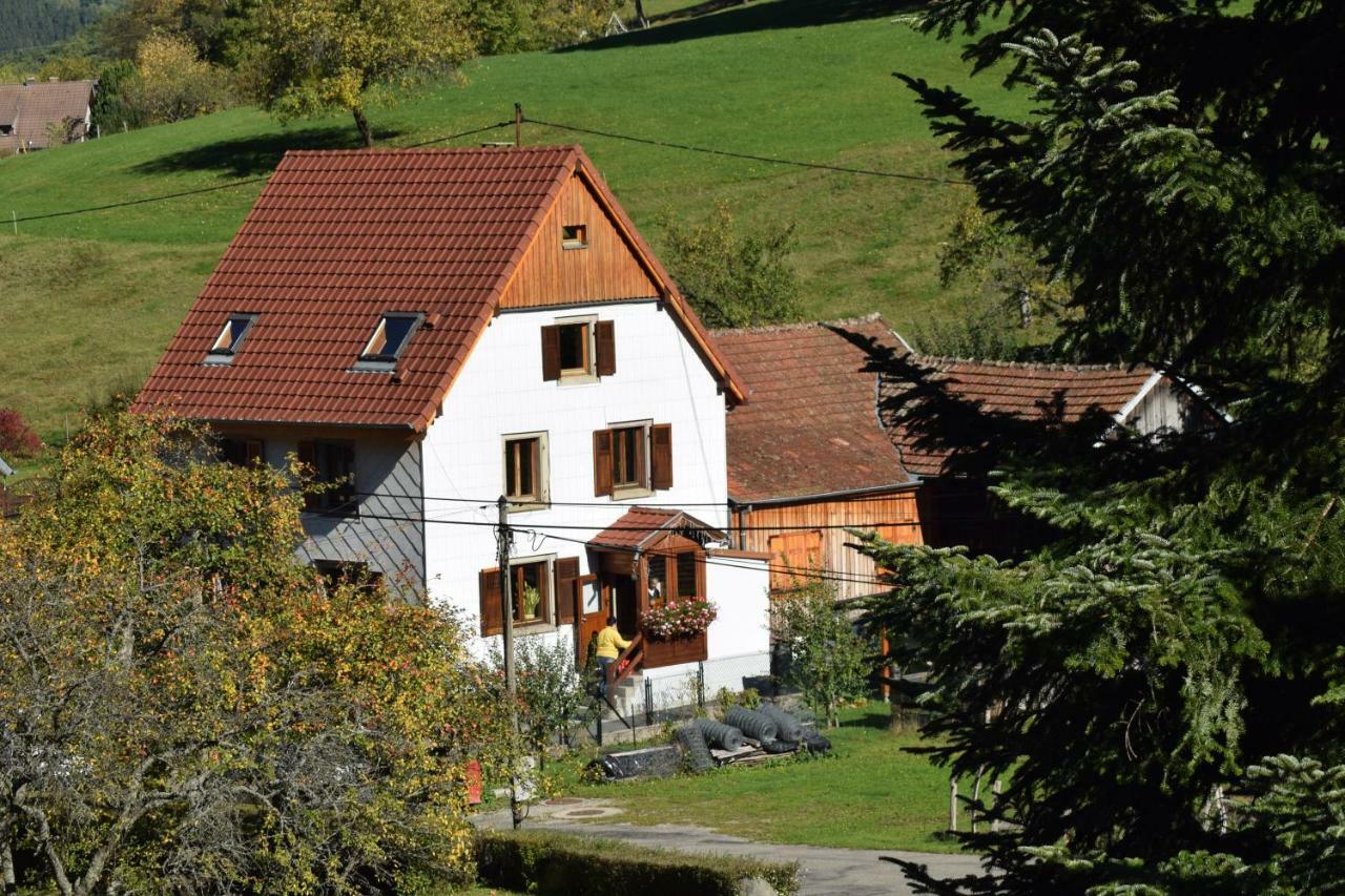 Spacieux et confortables gîtes à proximité randonnées, lacs, ski nature Sondernach Extérieur photo