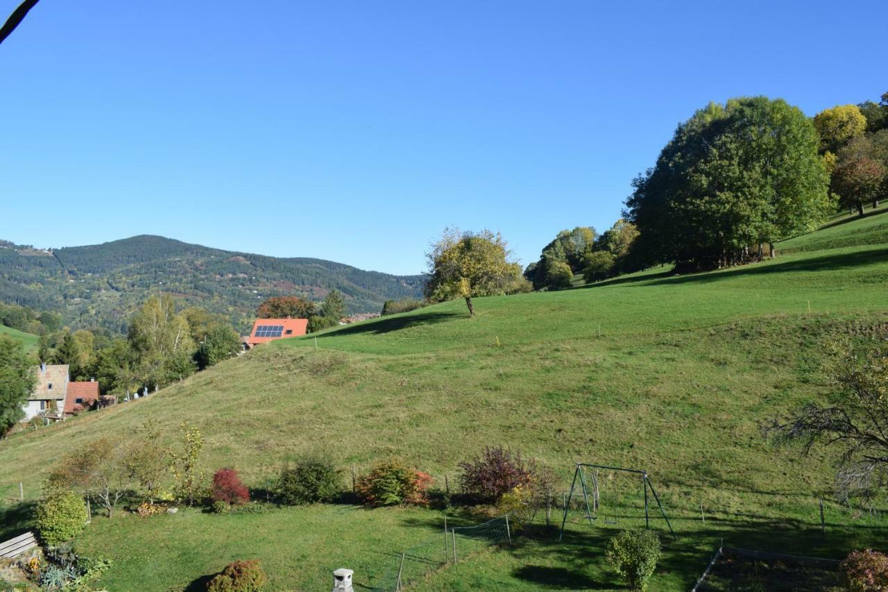 Spacieux et confortables gîtes à proximité randonnées, lacs, ski nature Sondernach Extérieur photo