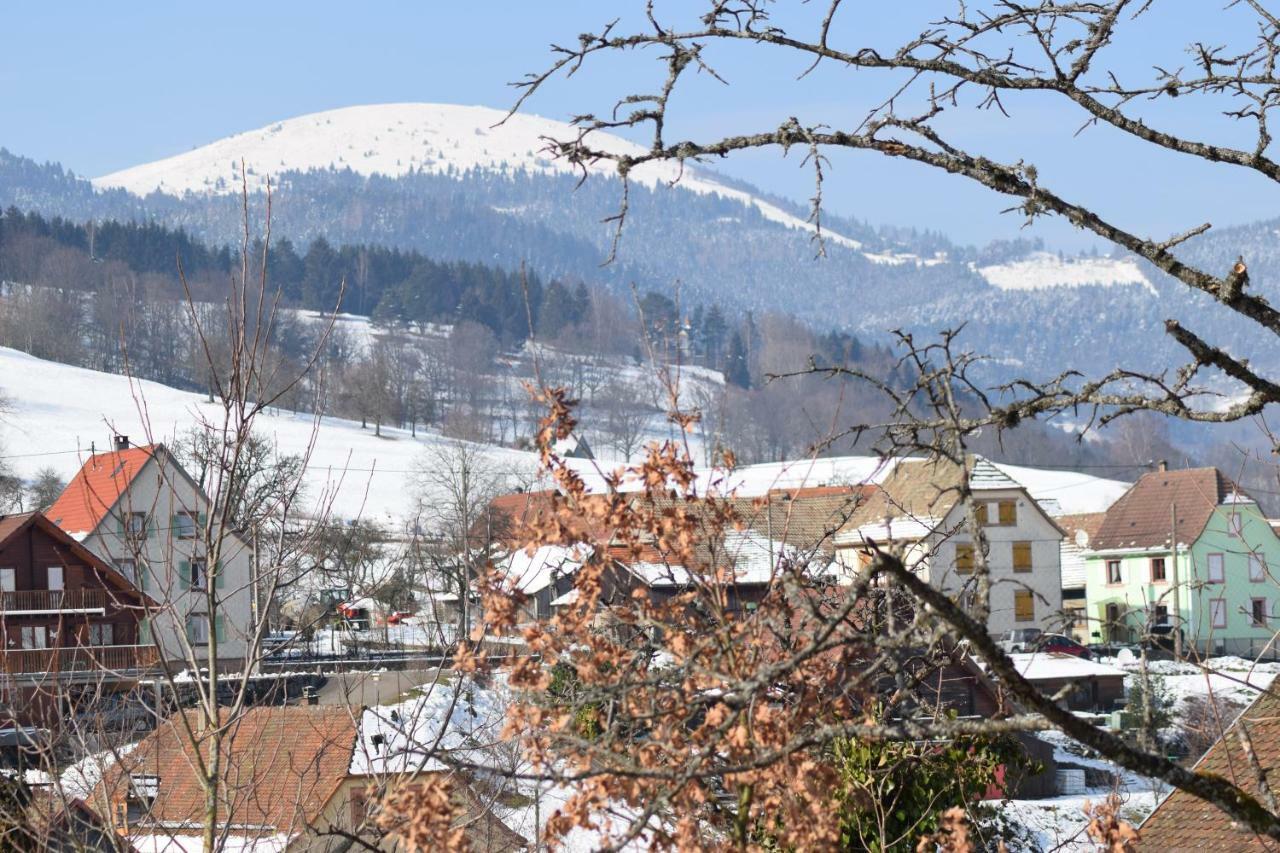 Spacieux et confortables gîtes à proximité randonnées, lacs, ski nature Sondernach Extérieur photo