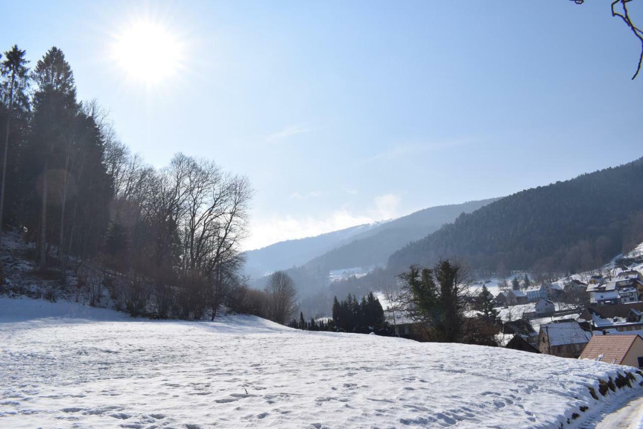 Spacieux et confortables gîtes à proximité randonnées, lacs, ski nature Sondernach Extérieur photo